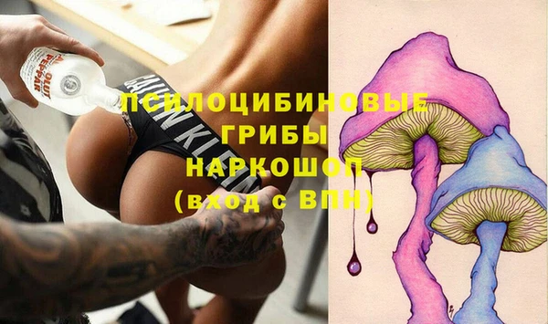 сатива Россошь