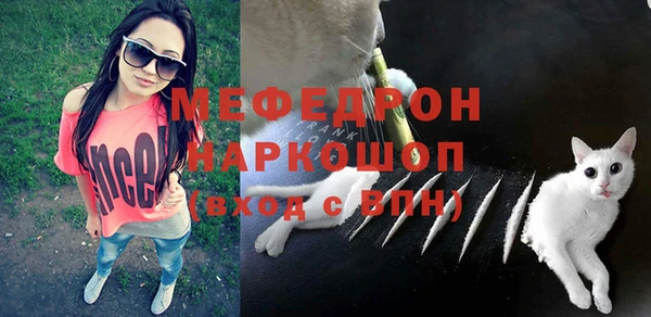 ГАЛЛЮЦИНОГЕННЫЕ ГРИБЫ Аркадак